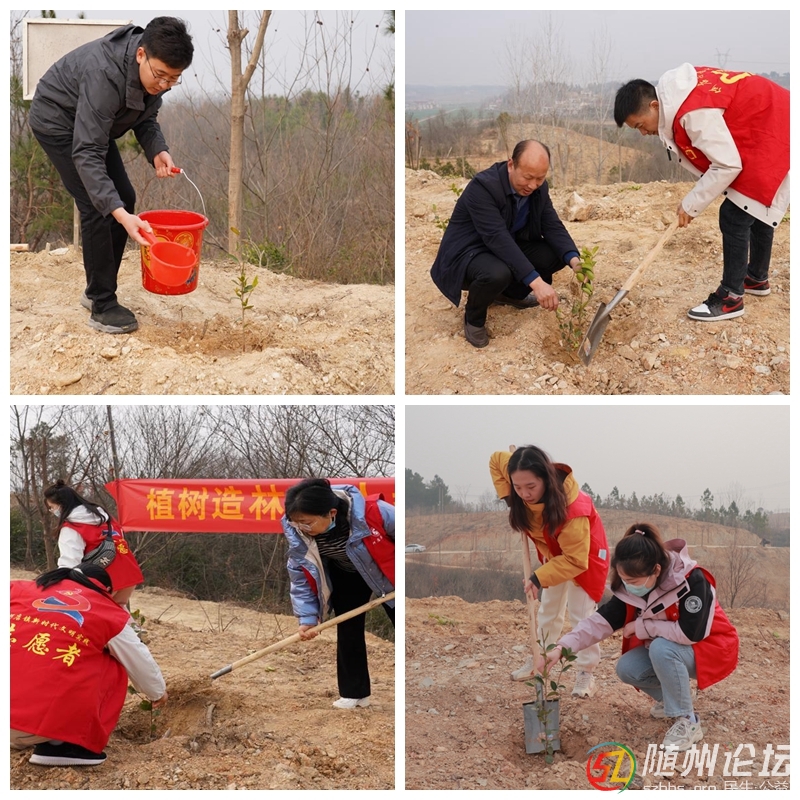 何店鎮(zhèn)：金山銀山不如綠水青山  春風(fēng)十里不如綠植有你